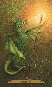The Forest of Enchantment Llewellyn