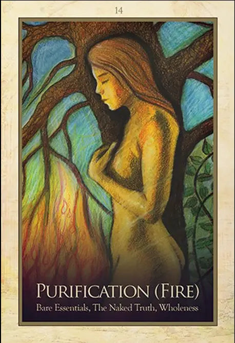 The Gaia Oracle Toni Carmine Salerno Llewellyn