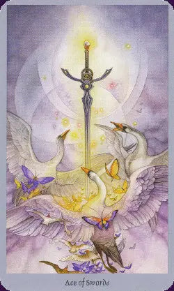 Shadowscapes Tarot Deck Stephanie Pui-Mun Law/Barbara Moore Llewellyn