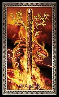 Tarot Grand Luxe By Ciro Marchetti Brand New Authentic