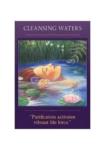 SACRED TRAVELER Denise Linn