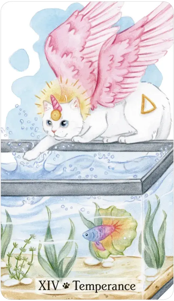 Caticorn Tarot Author Pamela Chen Artist Delphine Dion Dulabeanie