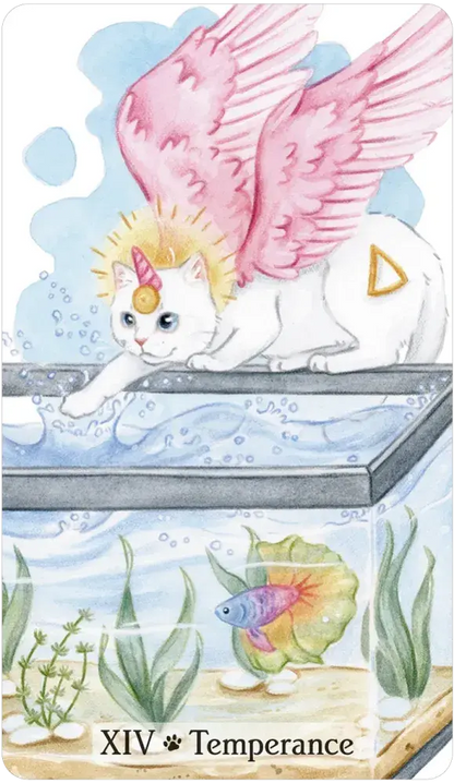 Caticorn Tarot Author Pamela Chen Artist Delphine Dion Dulabeanie