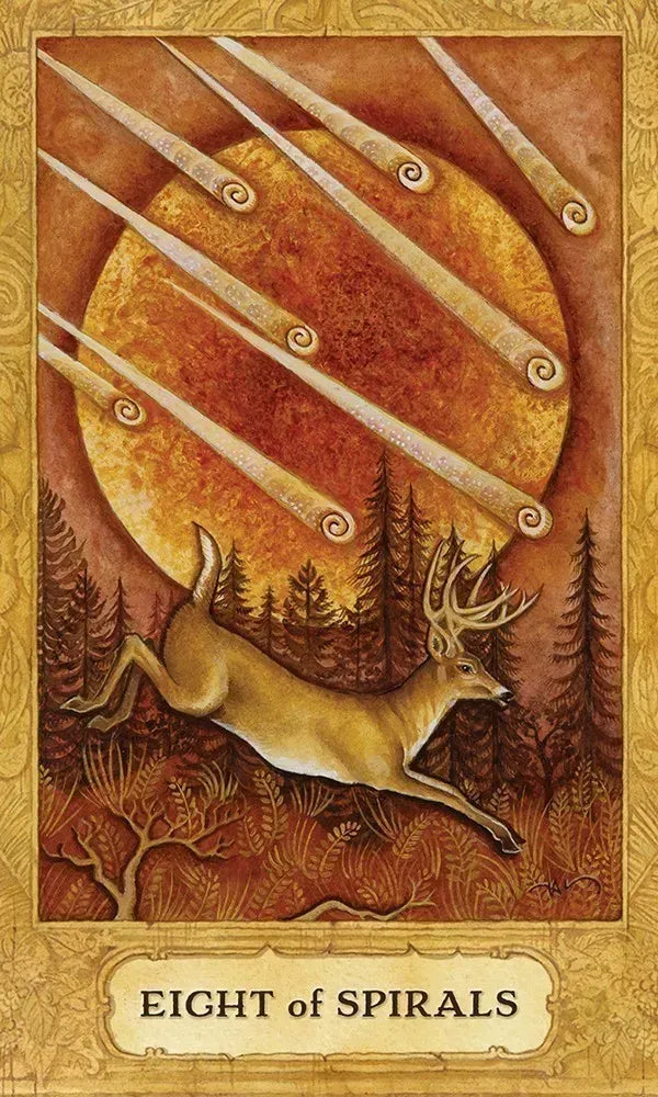 Chrysalis Tarot Deck and Book Set Dulabeanie