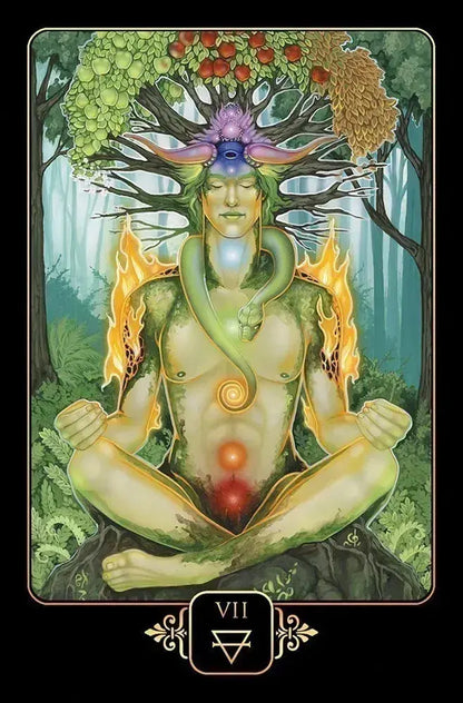 Dreams Of Gaia Deck and Book By Ravynne Phelan My Store