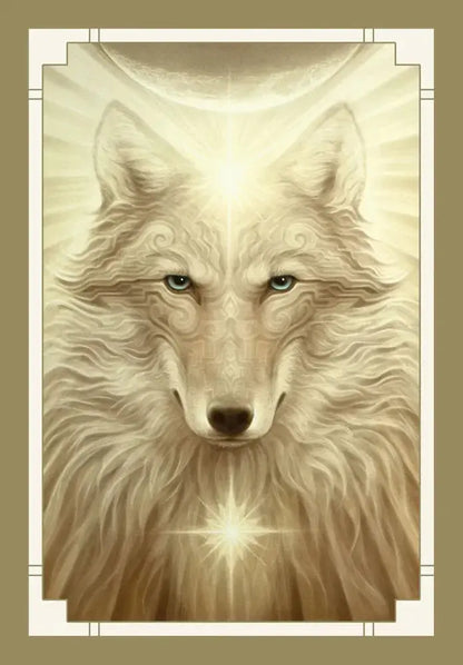 White Light Oracle By Alana Fairchild US Games Inc.