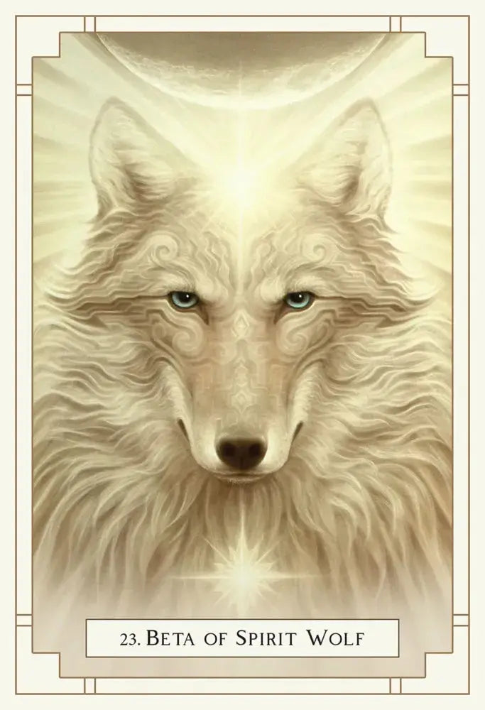 White Light Oracle By Alana Fairchild US Games Inc.