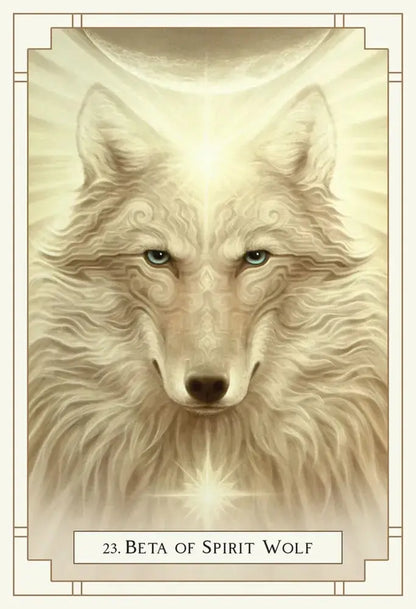 White Light Oracle By Alana Fairchild US Games Inc.
