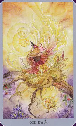Shadowscapes Tarot Deck Stephanie Pui-Mun Law/Barbara Moore Llewellyn