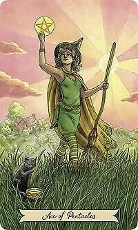Everyday Witch Tarot Deck & Book By Deborah Blake with optional bag usps priority shipping