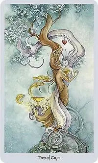 Shadowscapes Tarot Deck Stephanie Pui-Mun Law/Barbara Moore with Companion Guidebook