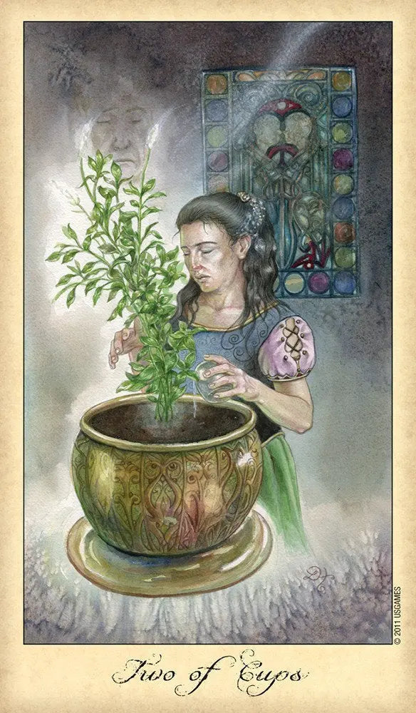 Ghosts & Spirits Tarot by Lisa Hunt with optional bag