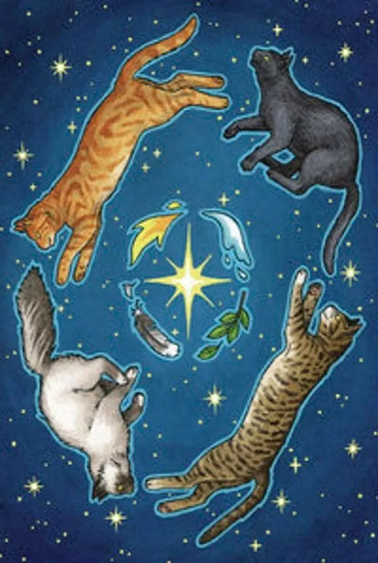 Everyday Witch Oracle Deborah Blake