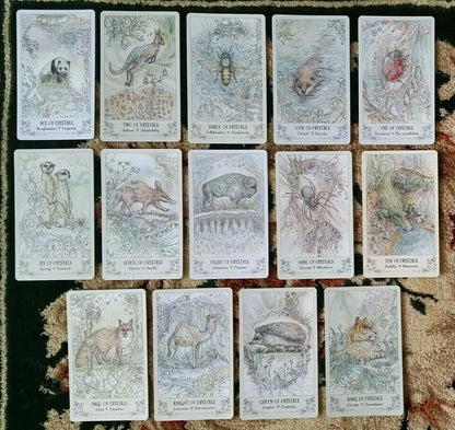 Spiritsong Tarot Paulina Tarot NEW