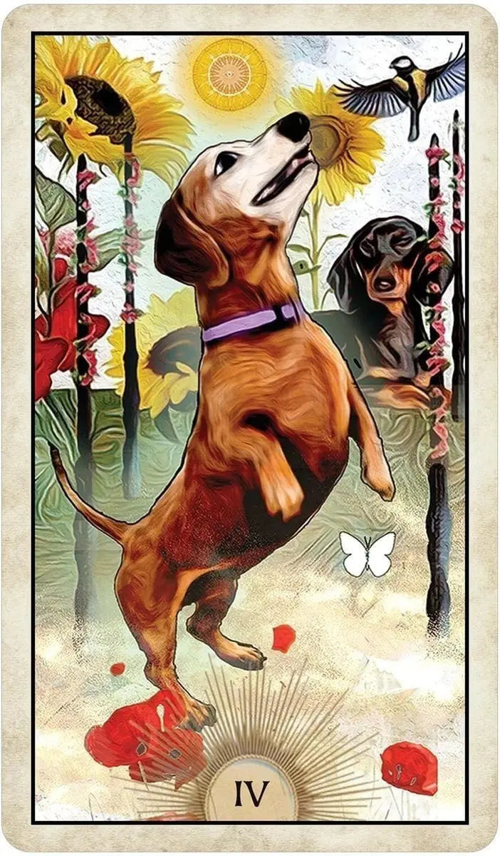 Wise Dog Tarot Created by MJ Cullinane