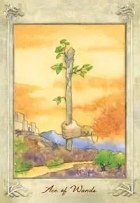 Llewellyn Tarot Deck & Book By Anna-marie Ferguson usps priority shipping