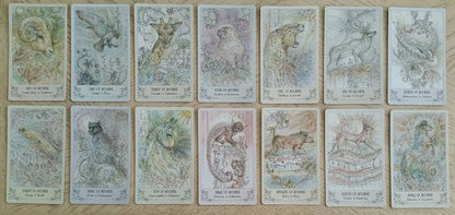 Spiritsong Tarot Paulina Tarot NEW
