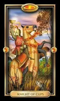 Easy Tarot Josephine Ellershaw, Ciro Marchetti with optional bag